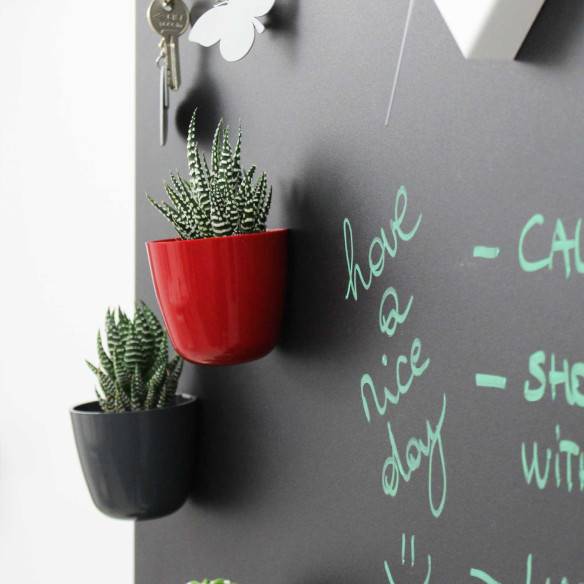 Kalamitica KIT ANDY, Soluzione Ingresso Moderno