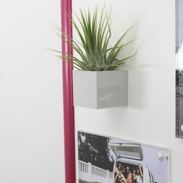 Kalamitica Lavagna Magnetica Con Cornice 30x30 Cm