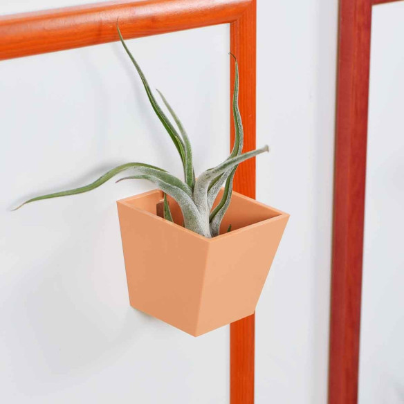 Kalamitica Piramide Magnetica Ø 6 Cm