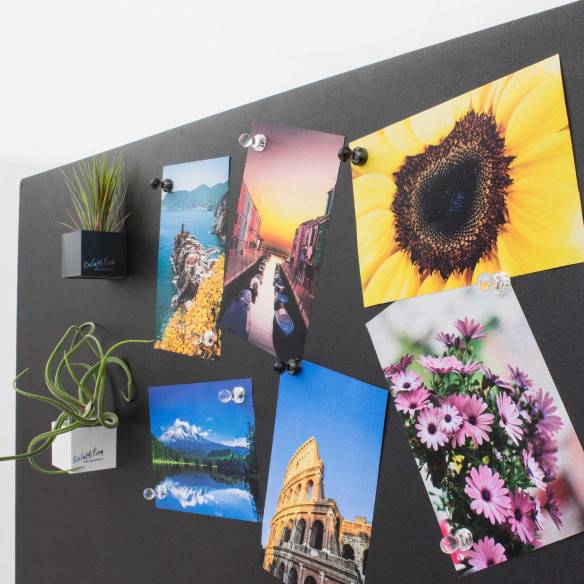 Kalamitica Puntine Magnetiche