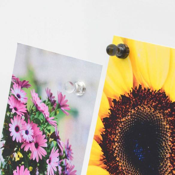 Kalamitica Puntine Magnetiche