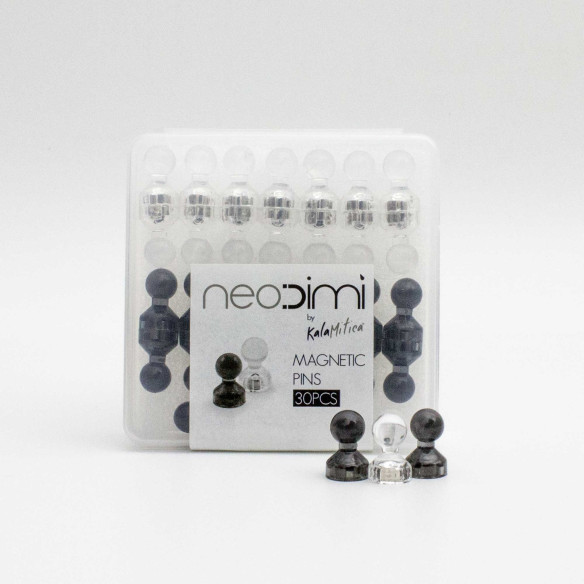 Kalamitica Puntine Magnetiche