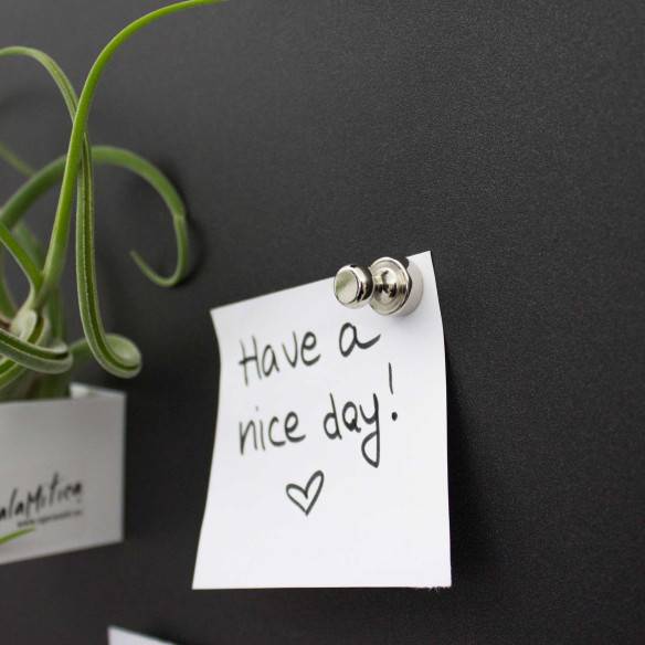 Kalamitica Puntine Magnetiche In Acciaio