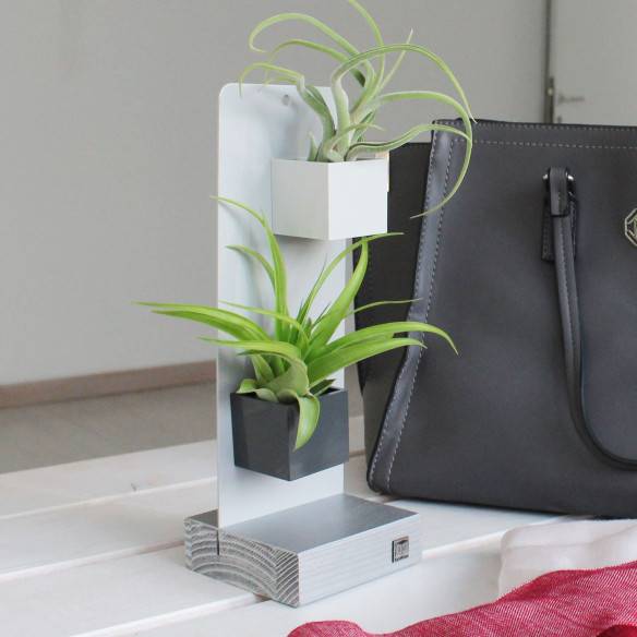 Kalamitica KIT EVERGREEN, Soprammobile Soggiorno Con Piante