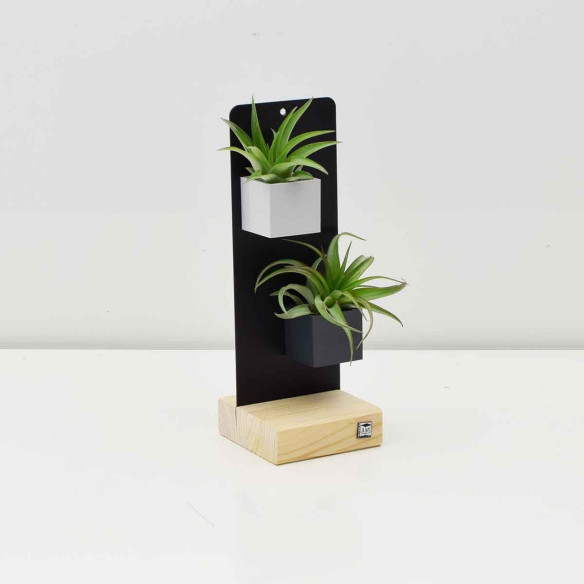 Kalamitica KIT EVERGREEN, Soprammobile Soggiorno Con Piante