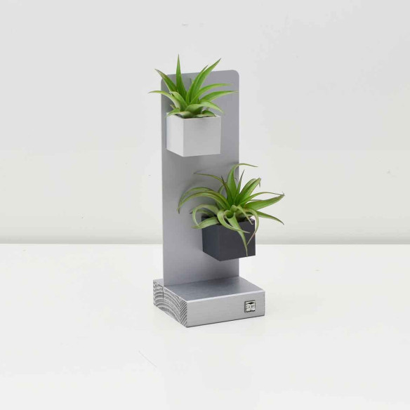 Kalamitica KIT EVERGREEN, Soprammobile Soggiorno Con Piante