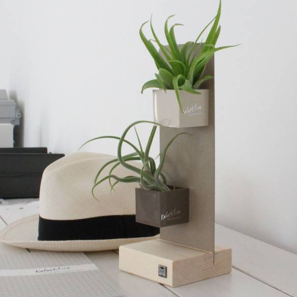 Kalamitica KIT EVERGREEN, Soprammobile Soggiorno con Piante