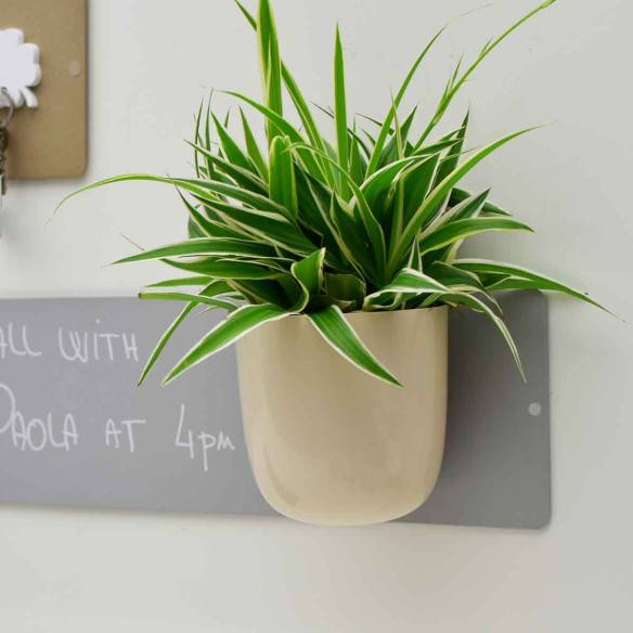 Kalamitica KIT LETIZIA, Per Mettere In Ordine La Scrivania