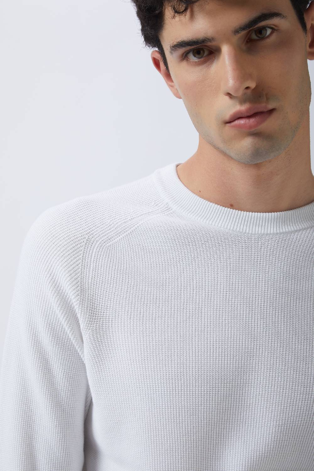 Kangra Cashmere Girocollo Punto Speciale in Cotone