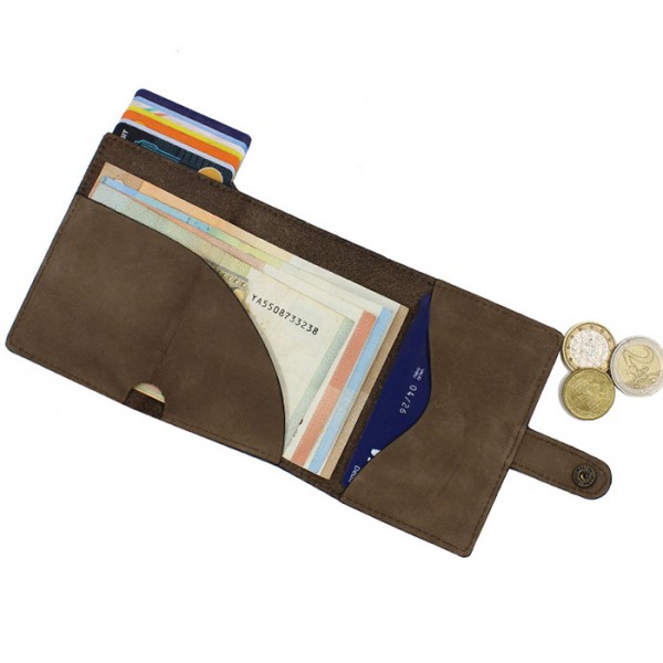 Kjøre Project Automatic Brown