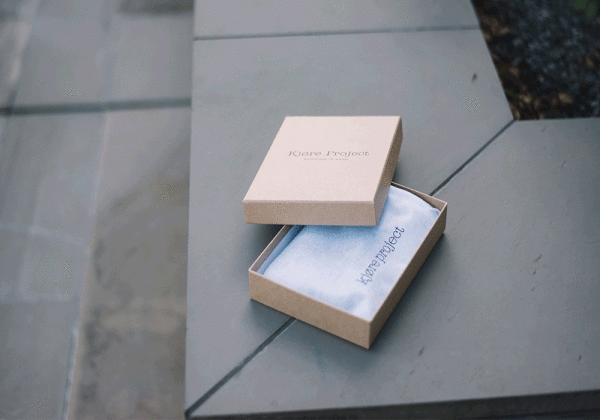 Kjøre Project Draw Card Case Evolution Wallet