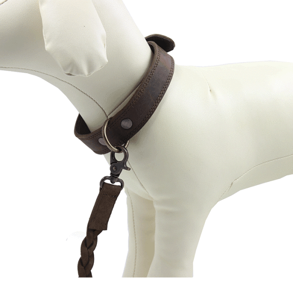 Kjøre Project Leather Dog Collar & Leash