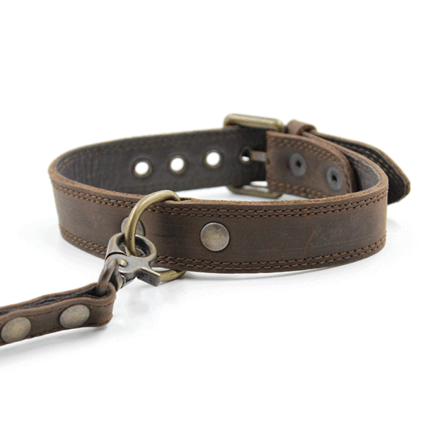 Kjøre Project Leather Dog Collar & Leash
