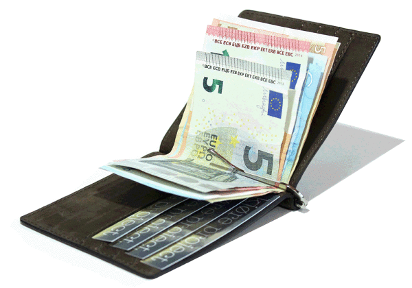 Kjøre Project Spring Leather Wallet