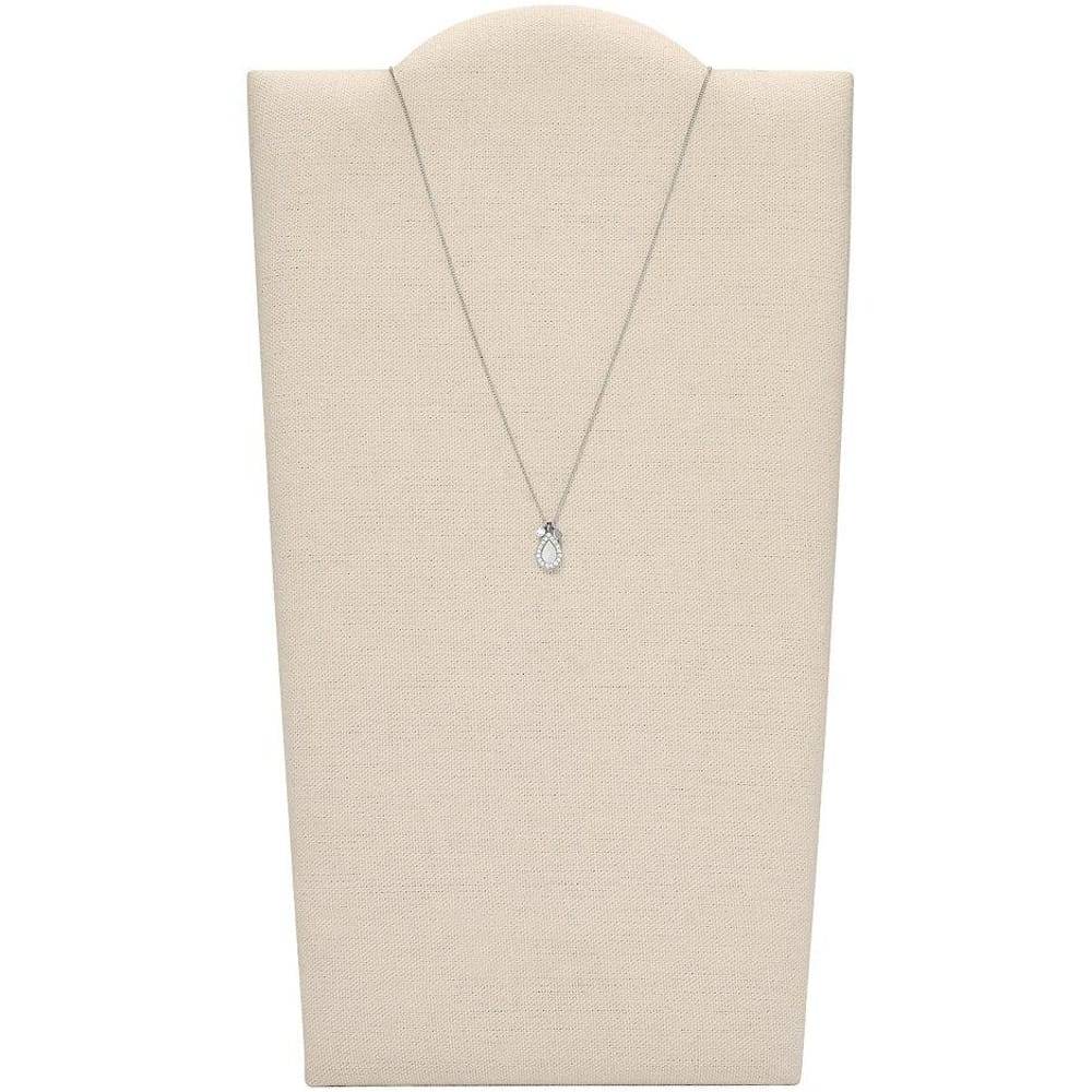 La Petite Story KIT FOSSIL CLASSICS - FO.JF03765040