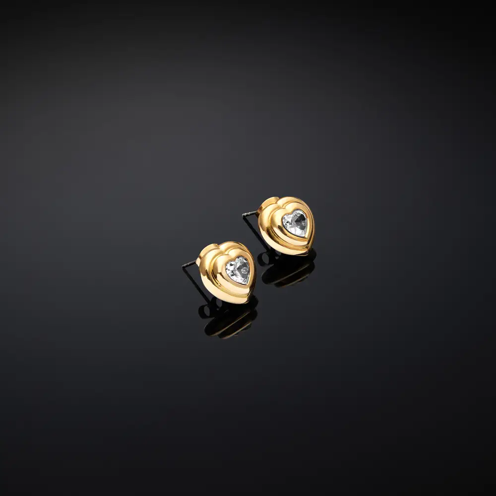 La Petite Story ORECCHINI CHIARA FERRAGNI BRAND BOLD - J19AXP08