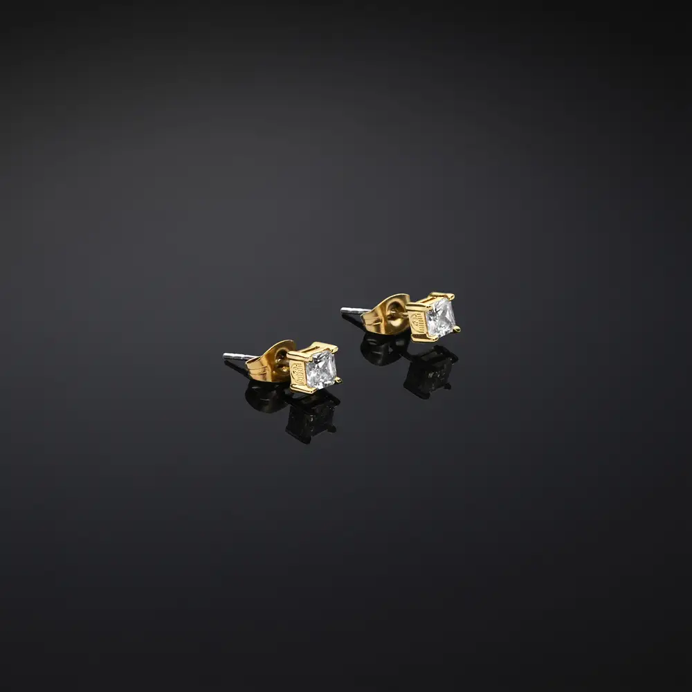 La Petite Story ORECCHINI CHIARA FERRAGNI BRAND CLASSIC - J19AVJ16