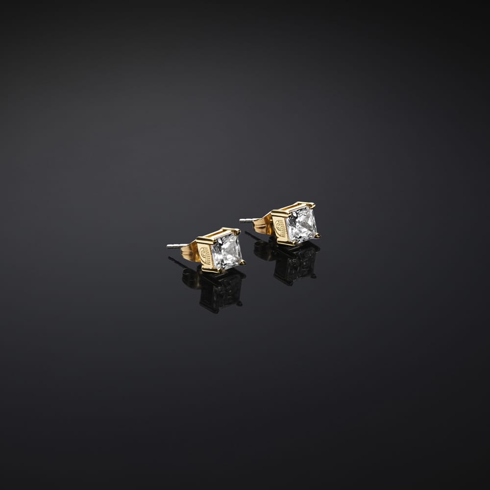 La Petite Story ORECCHINI CHIARA FERRAGNI BRAND CLASSIC - J19AVJ20