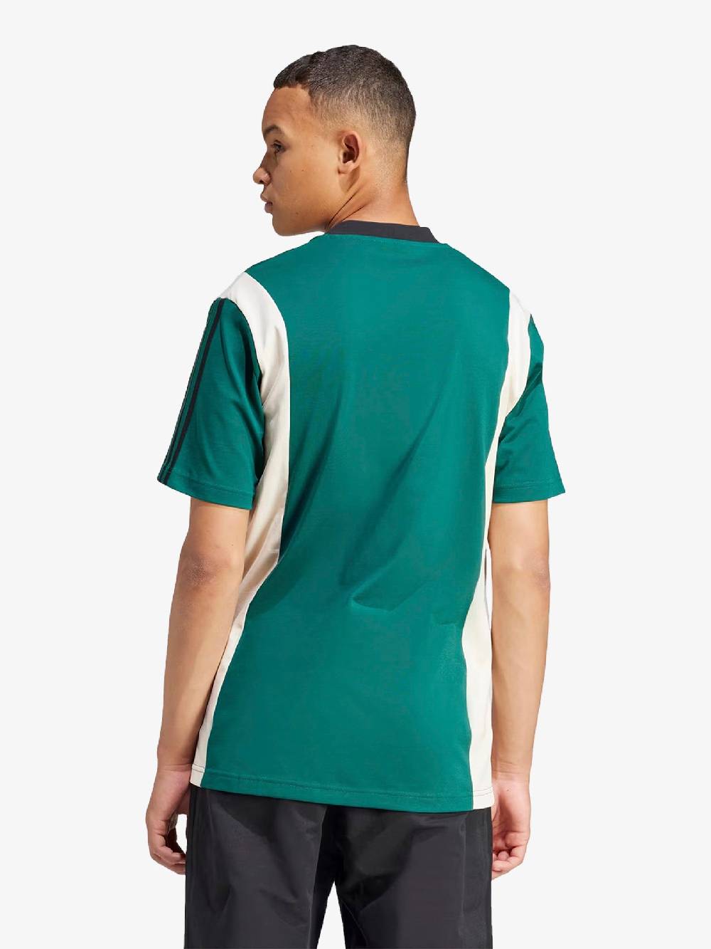 ADIDAS T-shirt Archive Panel Uomo Un Cotone Verde