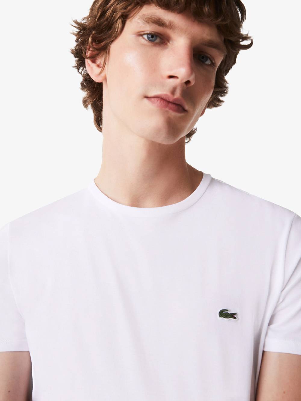 LACOSTE T-shirt Uomo In Cotone Bianco