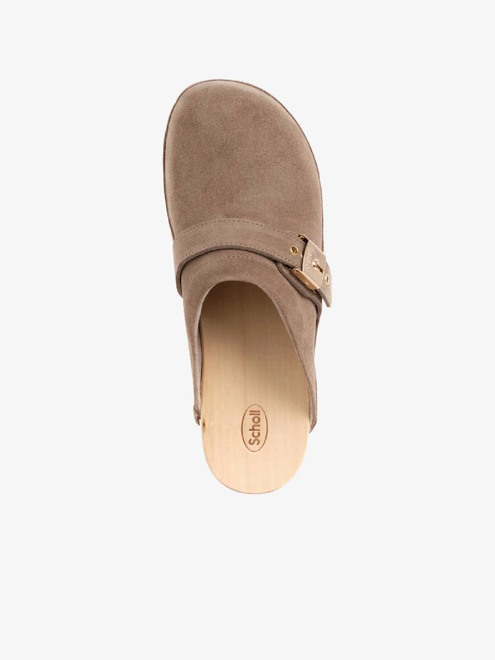 SCHOLL Sabot Pescura Clog 50 SL.F303571002 Donna Camoscio Beige