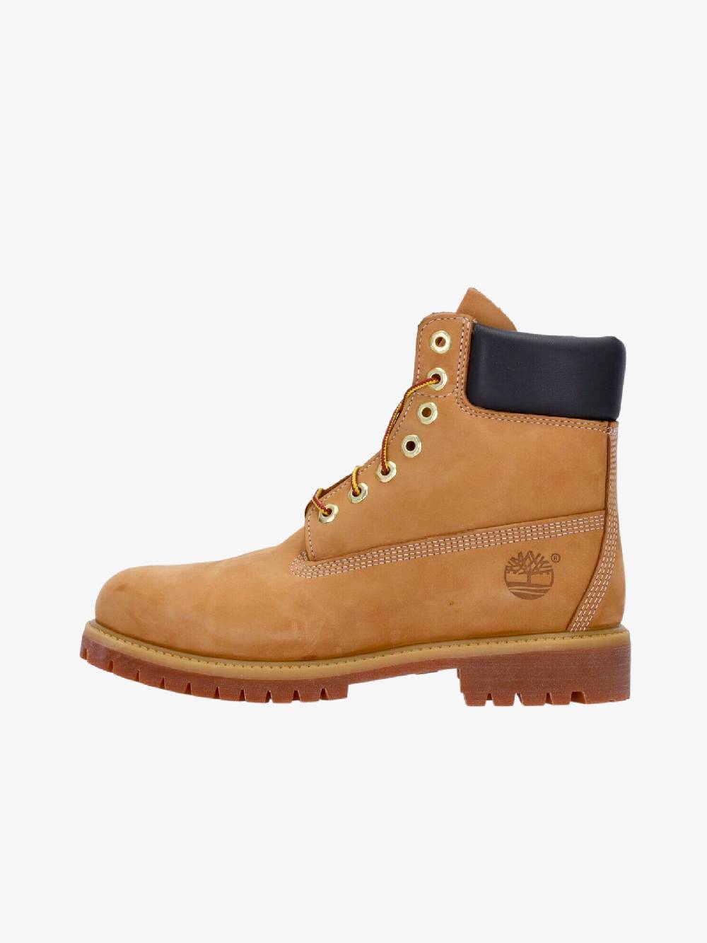 TIMBERLAND Stivaletto 6 INCH Premium Uomo Beige