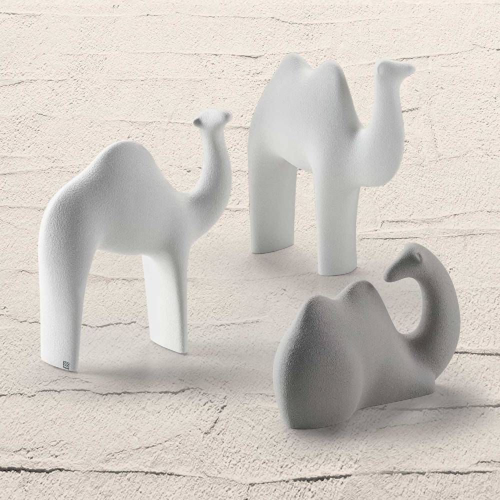 Lineasette Cammelli E Dromedari