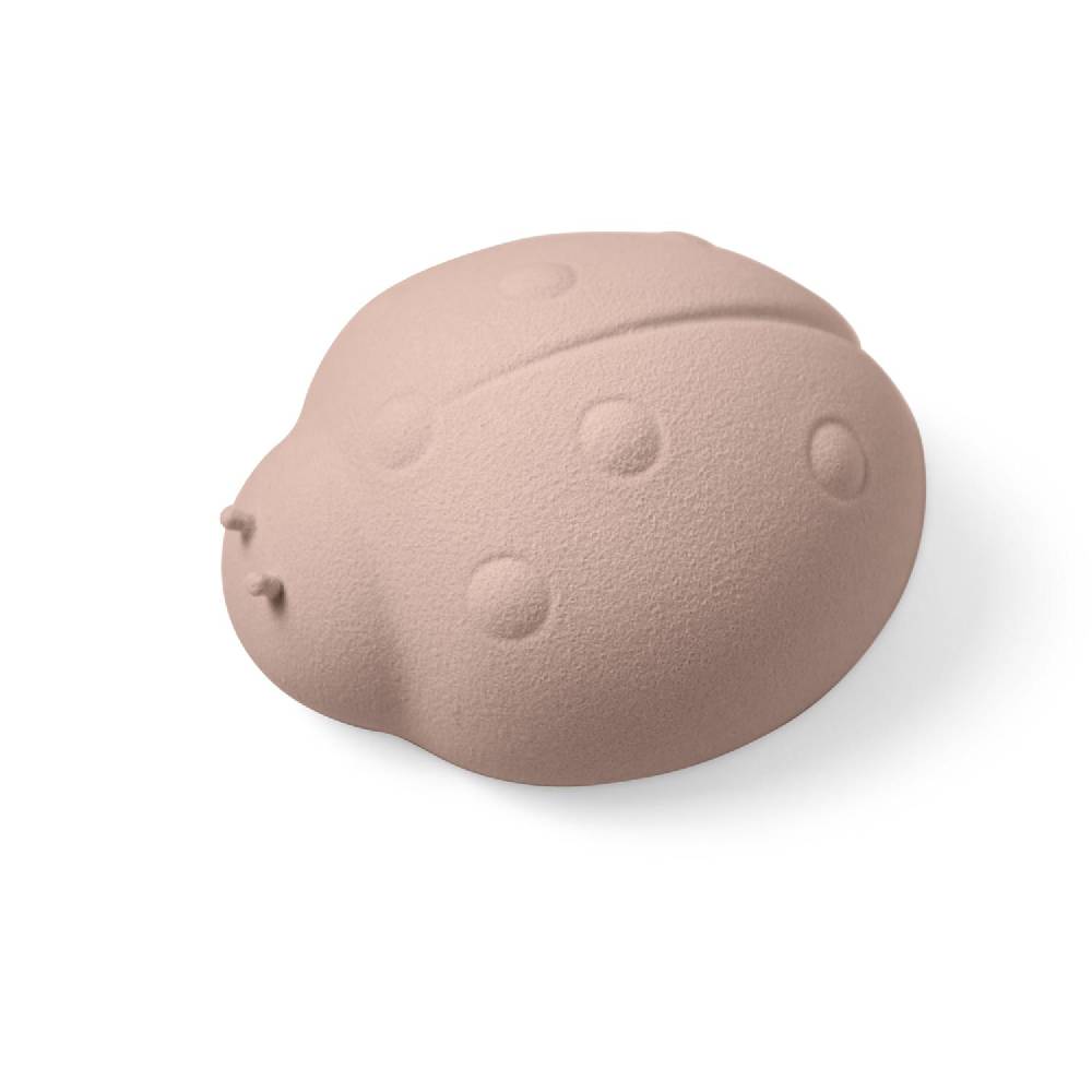 Lineasette Coccinella Fortunella