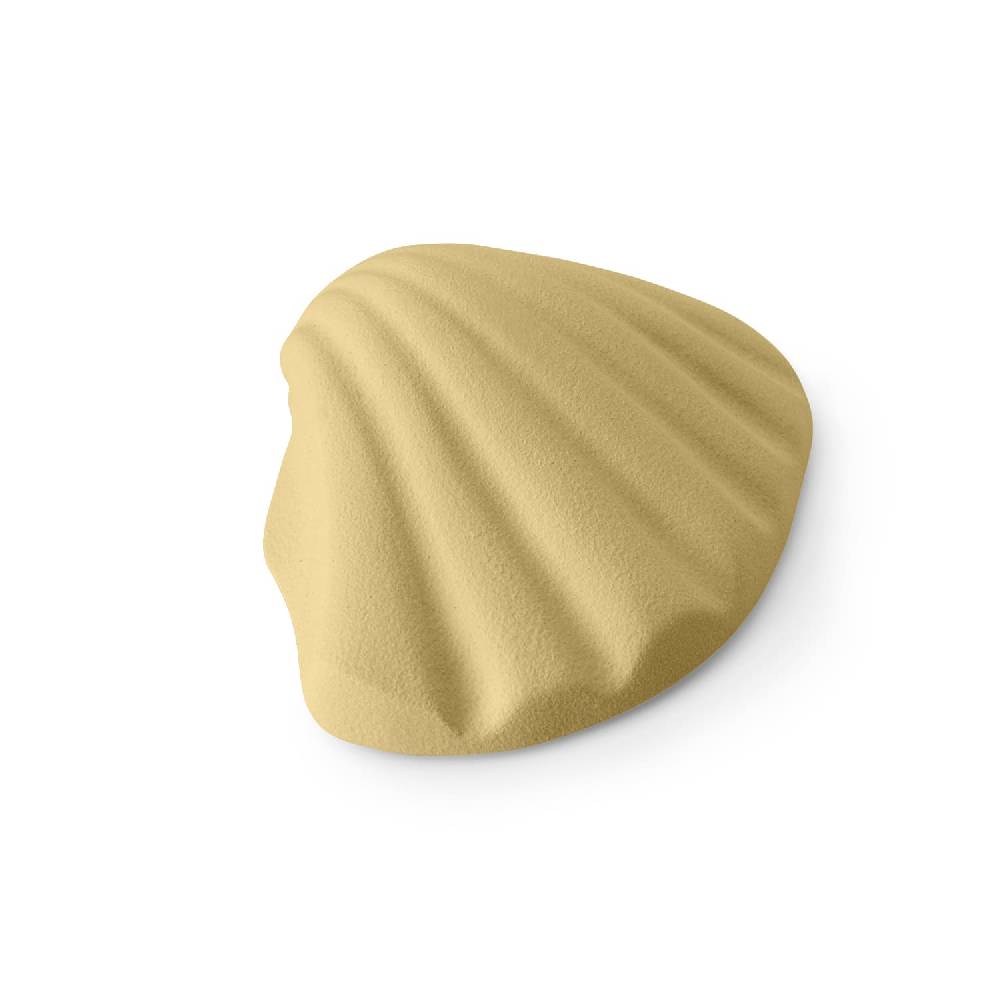 Lineasette Conchiglia