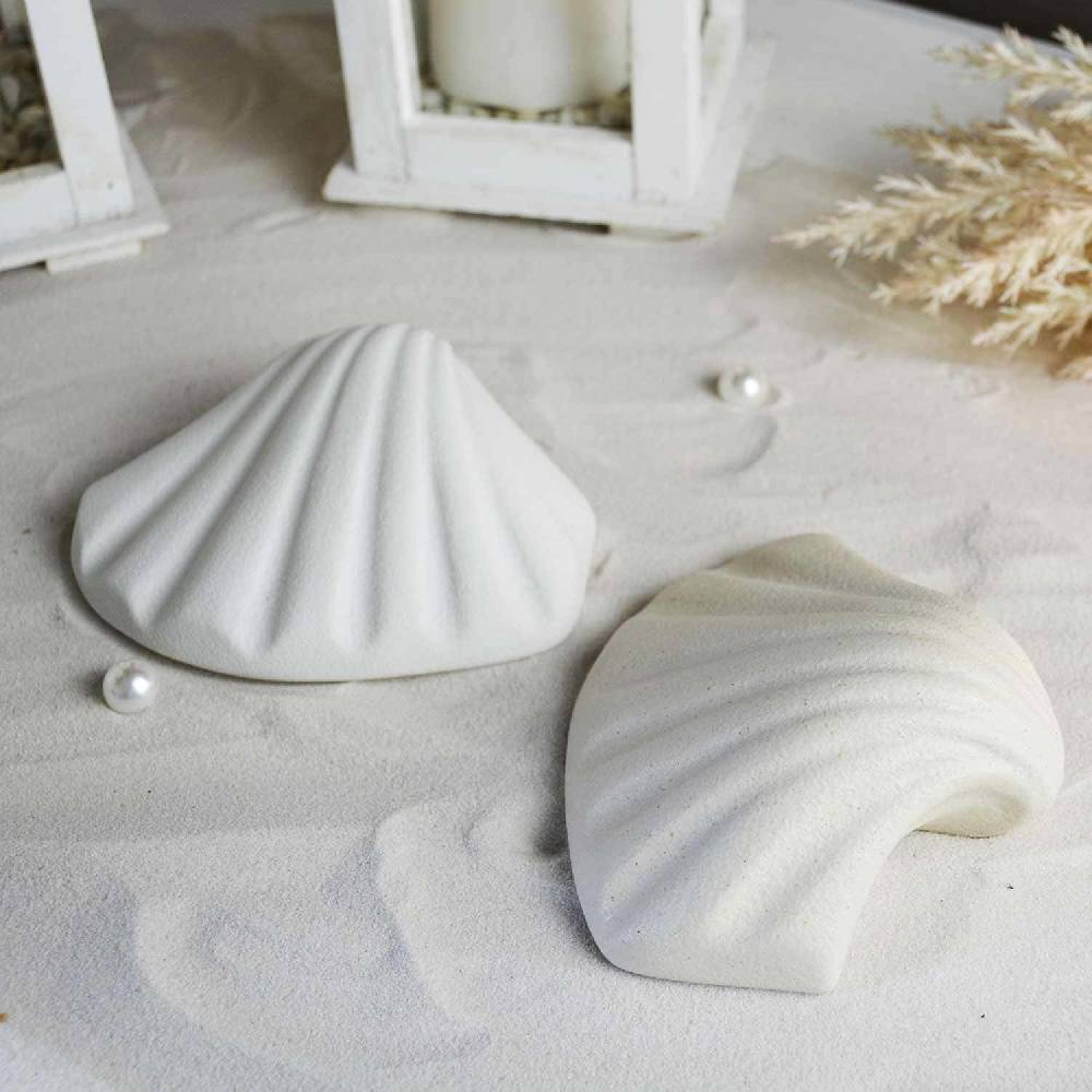 Lineasette Conchiglia