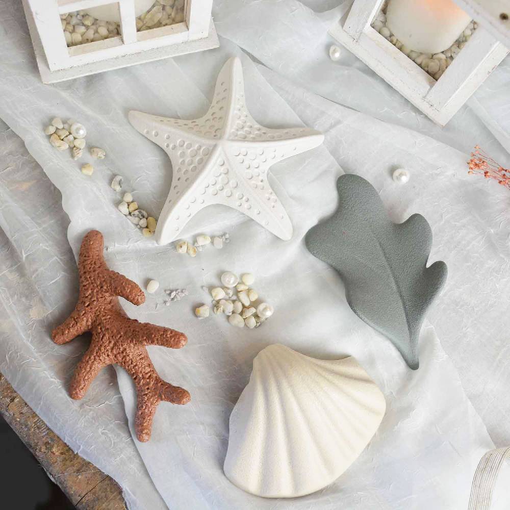 Lineasette Conchiglia