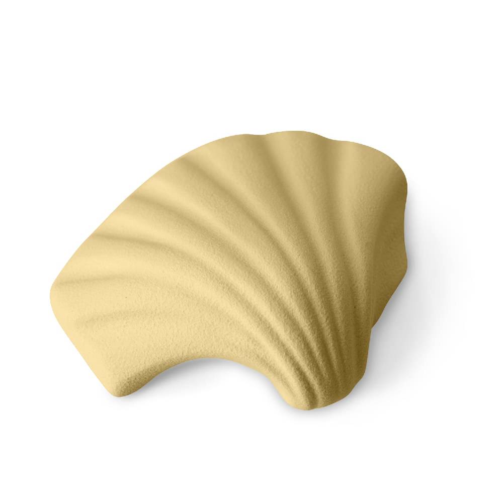 Lineasette Conchiglia