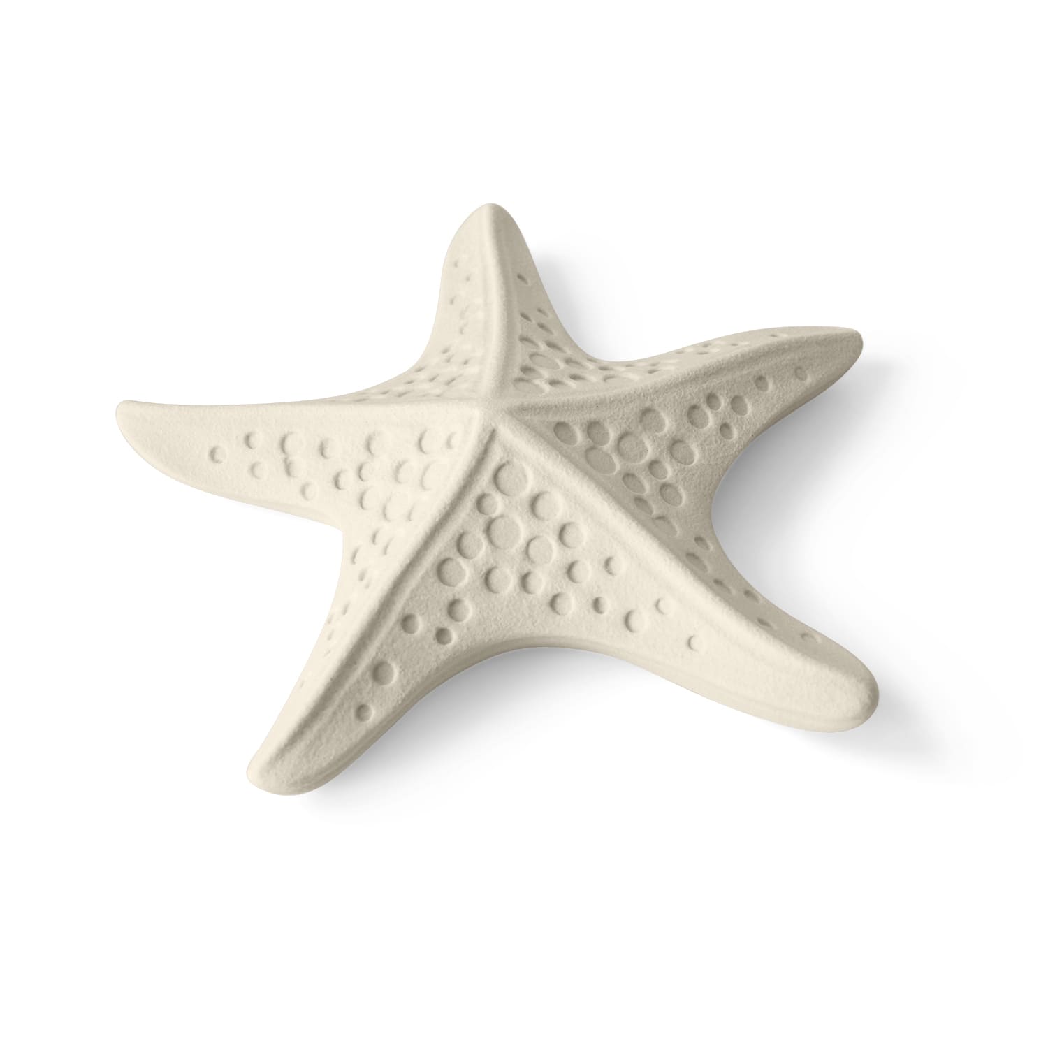 Lineasette Stella marina