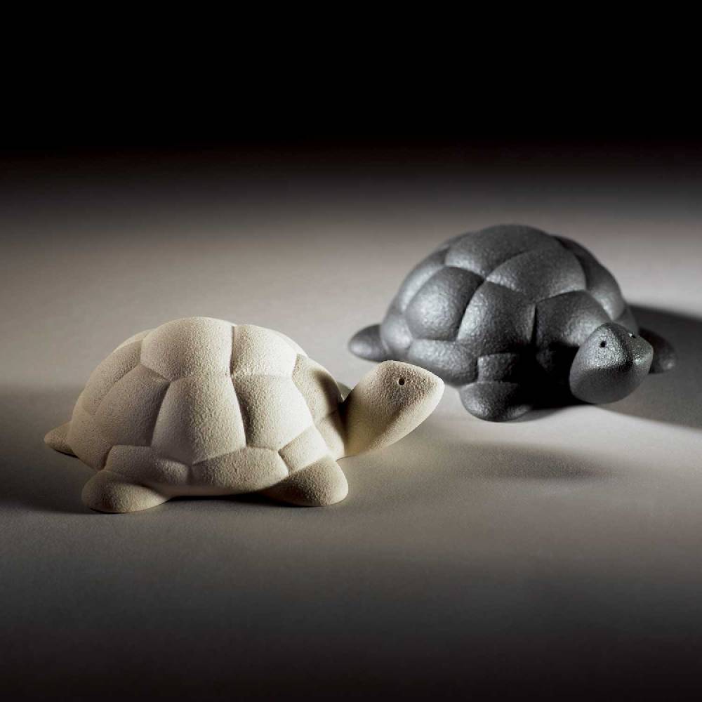 Lineasette Tartaruga