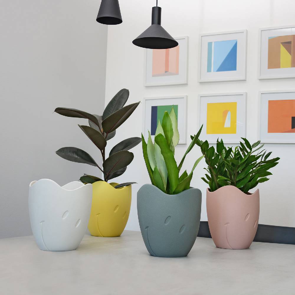 Lineasette Vaso Smiley®