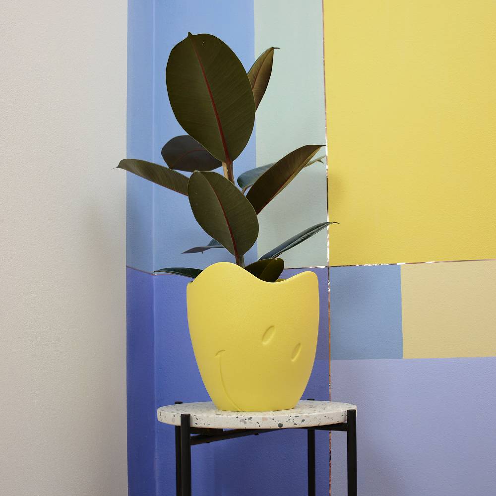 Lineasette Vaso Smiley®