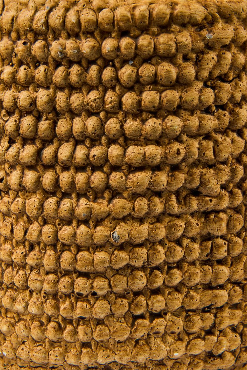 Novità Home Juta Cement - Vaso Disegno Juta Bucle Misura 13X11