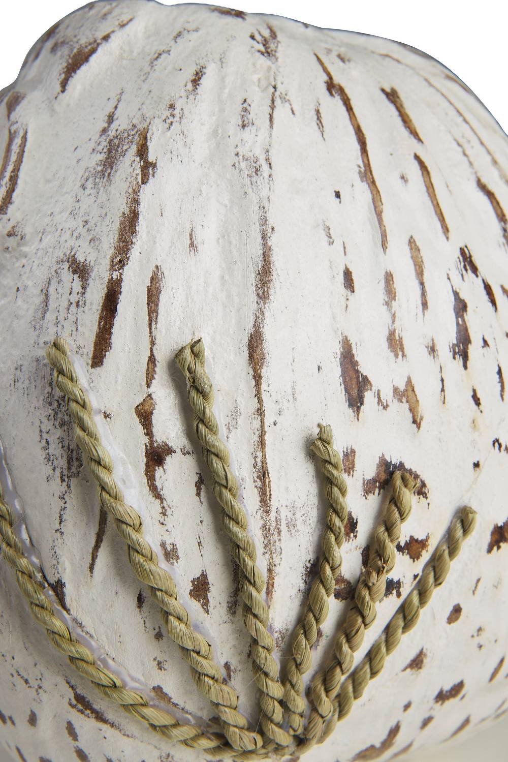 Novità Home Decor - Civetta Cocco Bianco