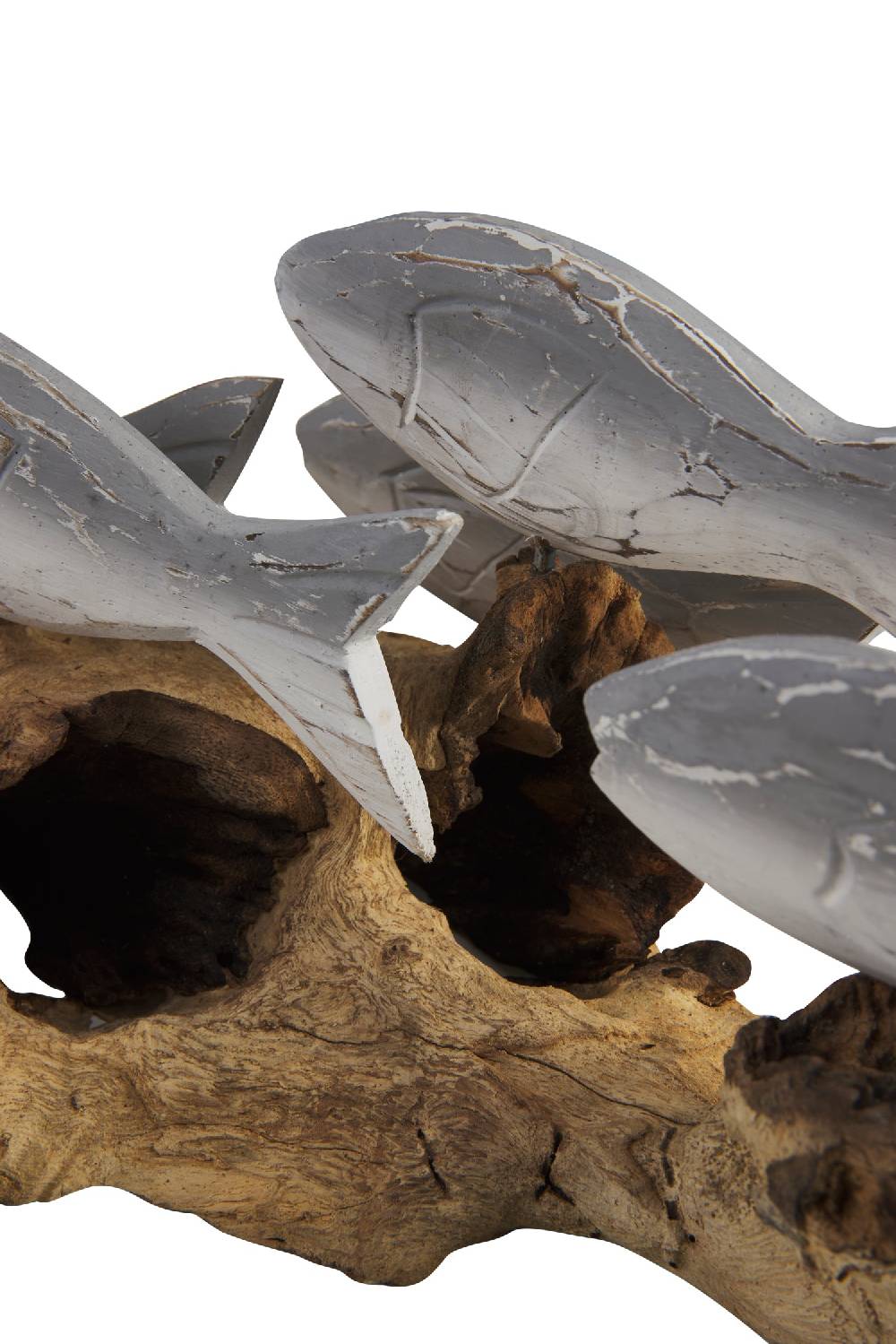 Novità Home Fish - Branco Pesci Grigi Su Tronco