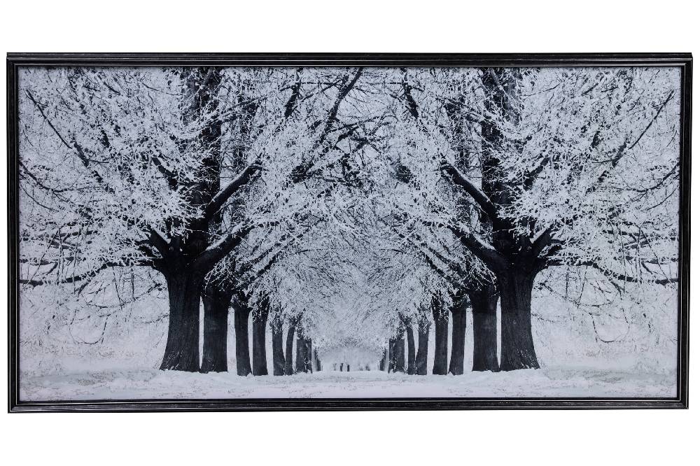 Novità Home Gallery - Quadro Viale Alberato