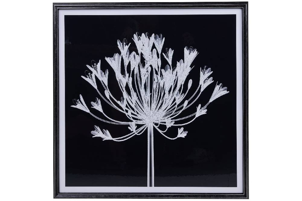 Novità Home Gallery - Stampa Fiore In Bianco E Nero