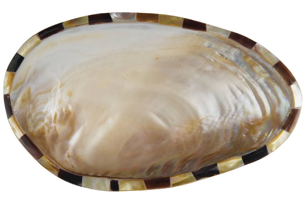 Novità Home Manyuse - Svuota Tasche Conchiglia