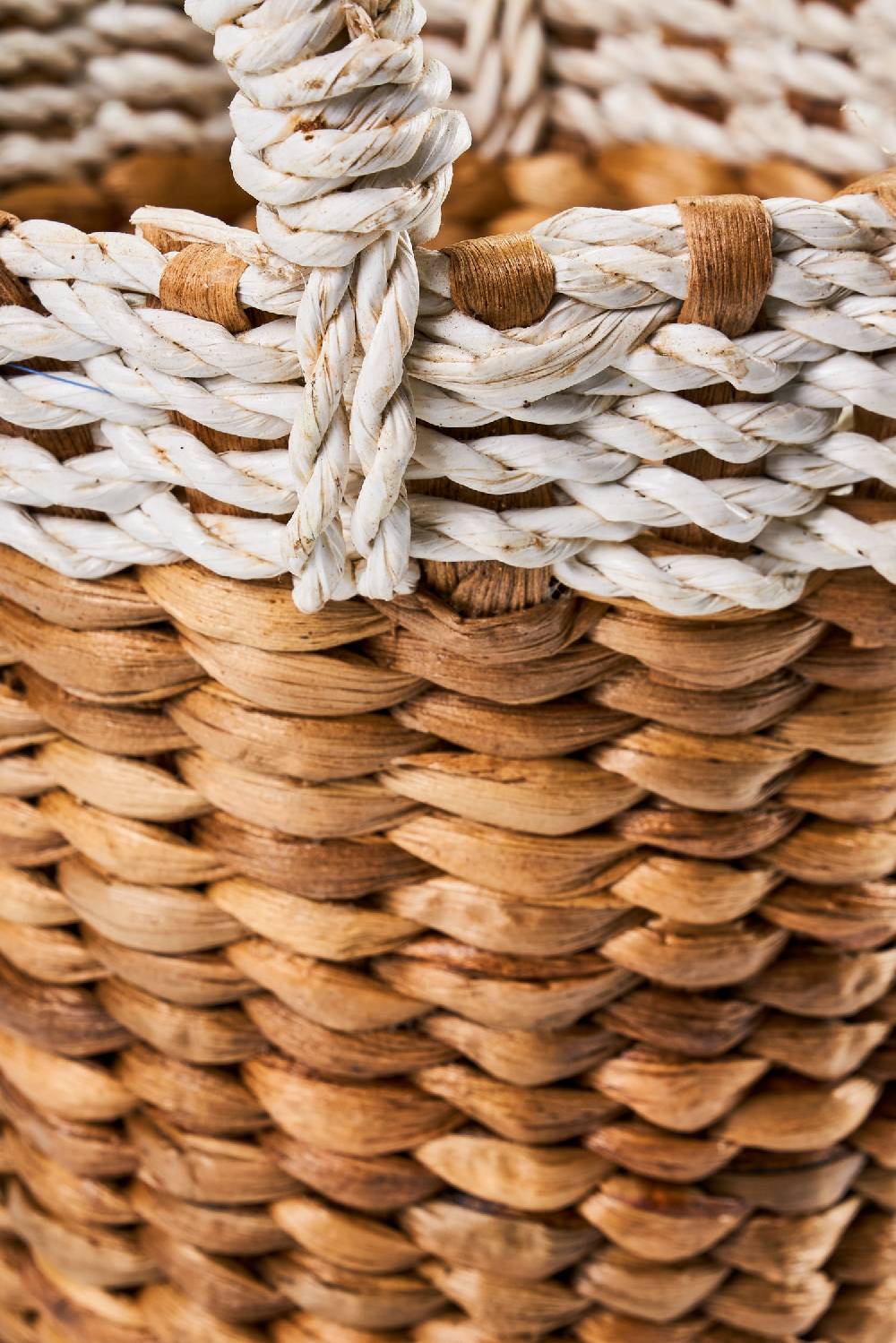 Novità Home Spring - Cestino Bordo Bianco