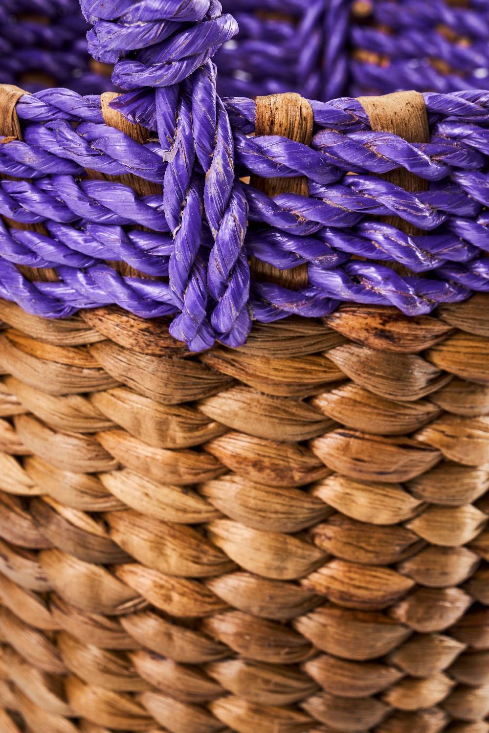 Novità Home Spring - Cestino Bordo Viola