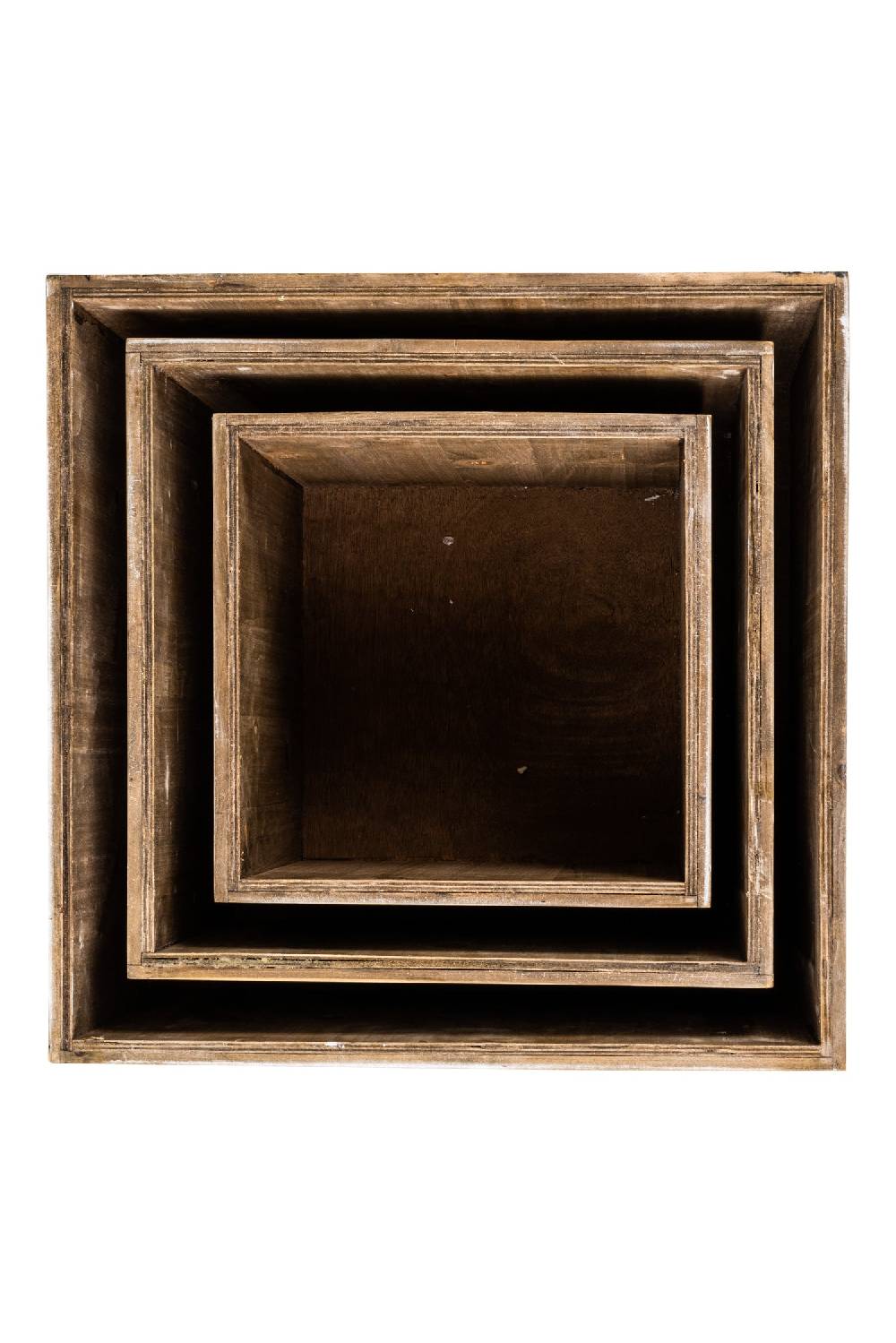 Novità Home Utility - Set 3 Cassette Porta Piante