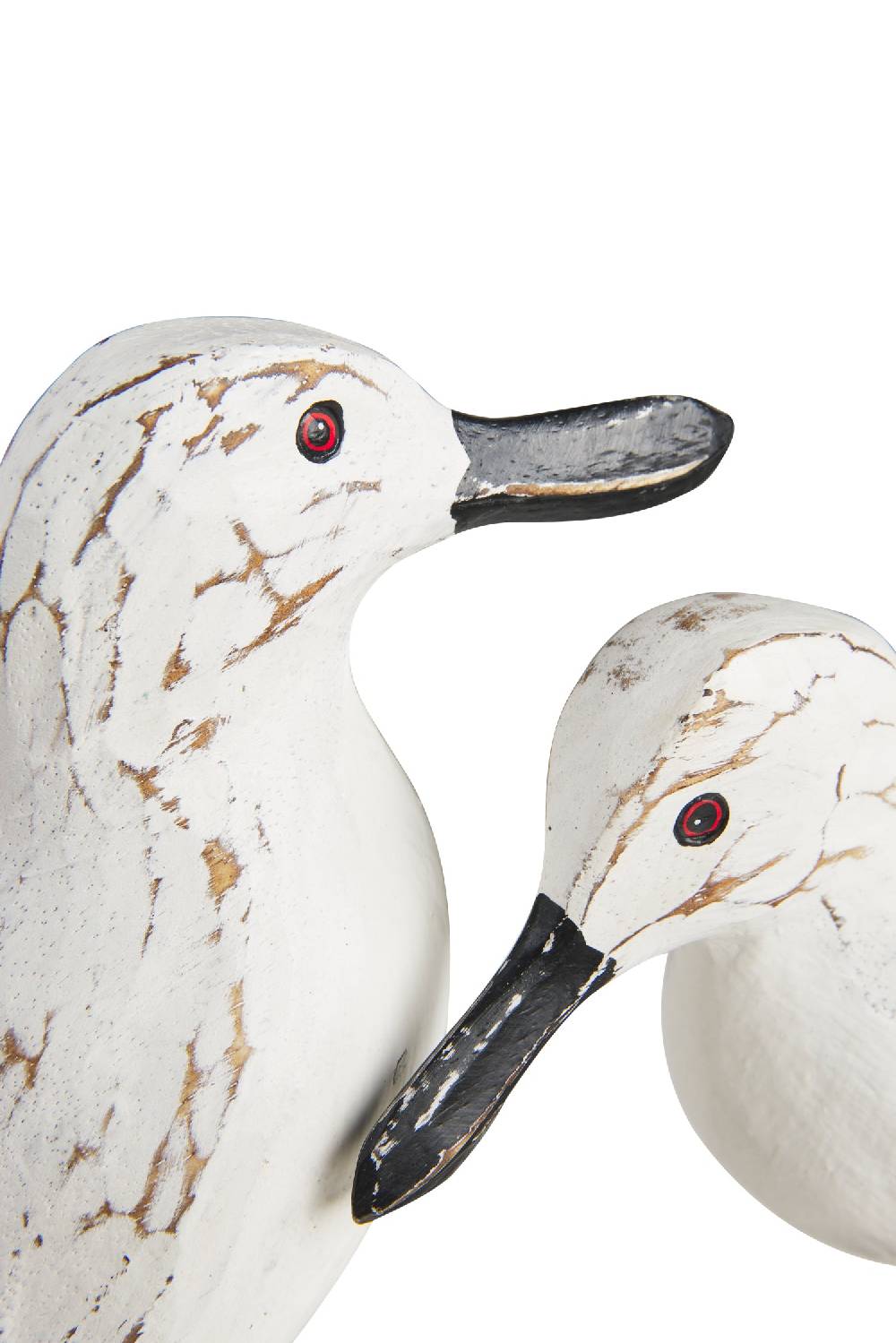 Novità Home Waterfowl - Gabbiani In Amore Su Tronco