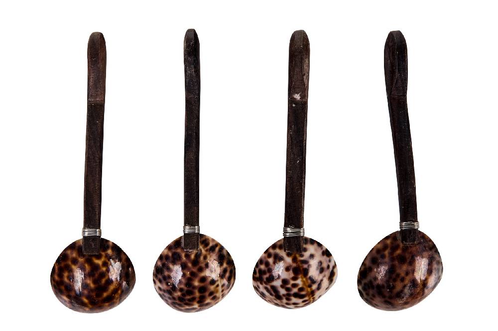 Novità Home Spotted Shells - Cucchiani Concavi Set 1/4