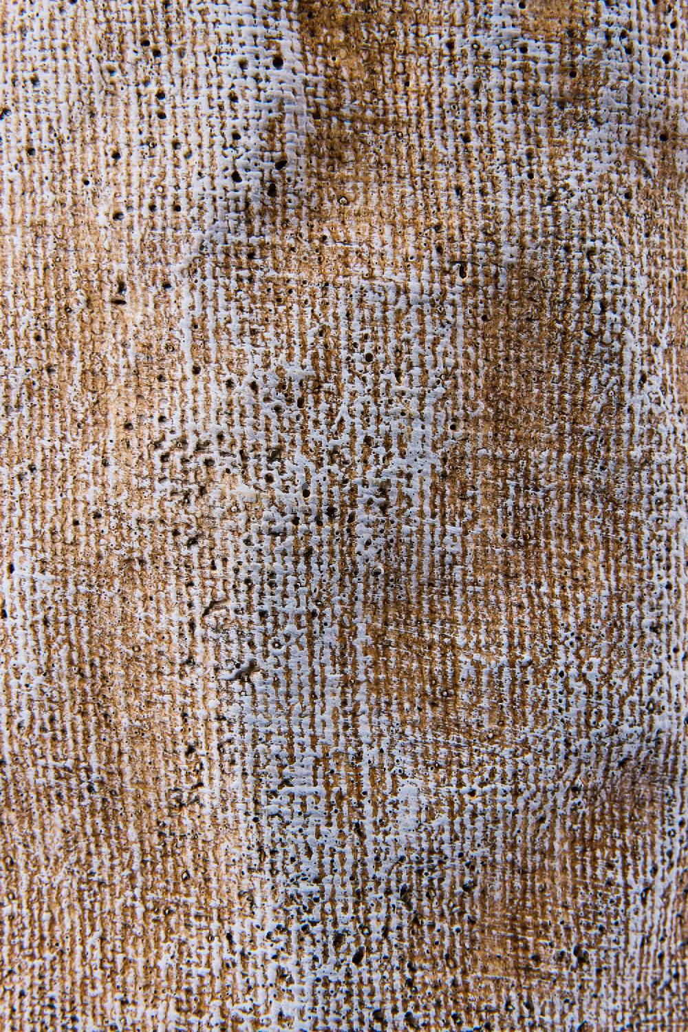 Novità Home Wicker Cement - Vaso Disegno Balla Juta Misura Extra Large