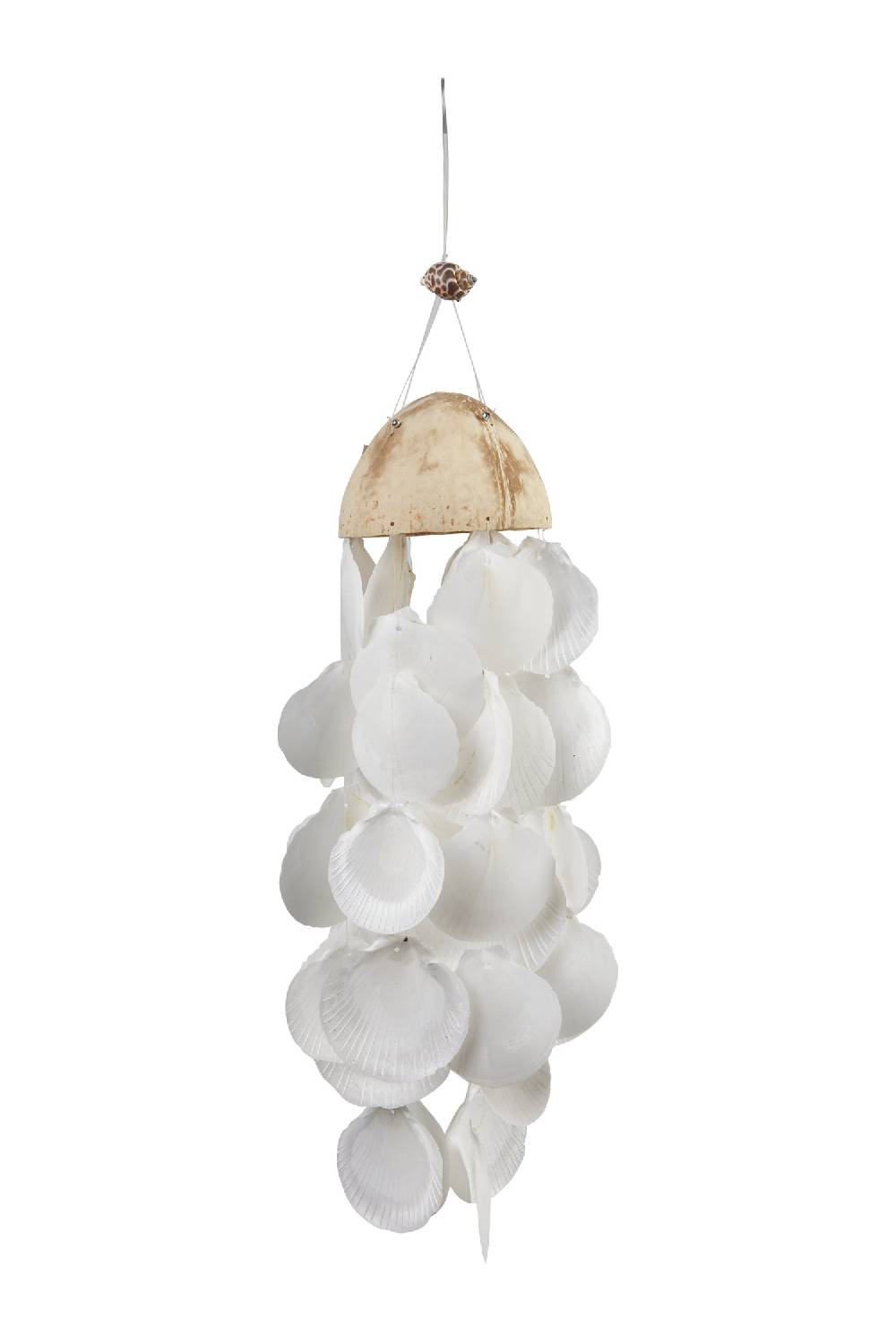 Novità Home Wind Sounds - Cocco Shabby Con Fili Conchiglie Bainche