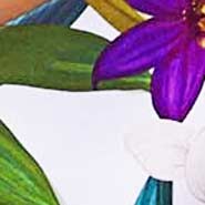 Mc2 Saint Barth Bikini Da Donna A Triangolo Con Stampa Fiori Tropicali